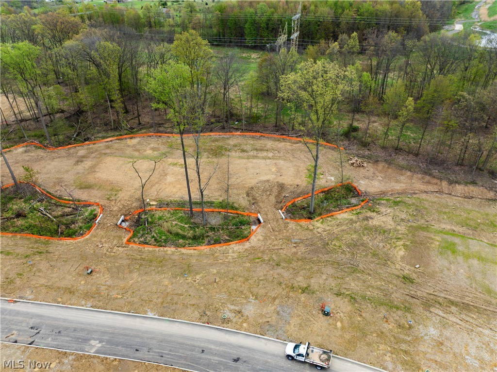 9526 River Birch Run Brecksville OH 44141