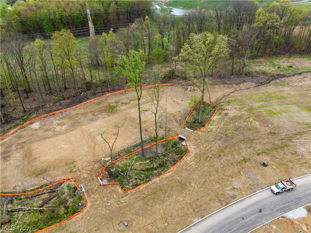 9526 River Birch Run Brecksville OH 44141
