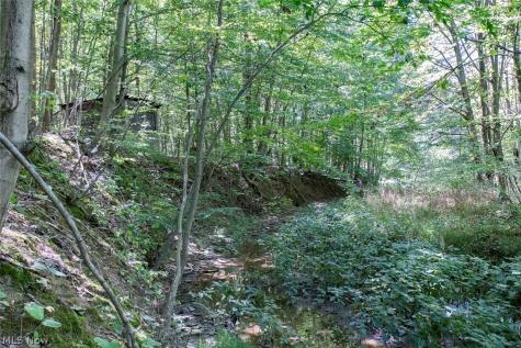 Dunham Road Litchfield OH 44253