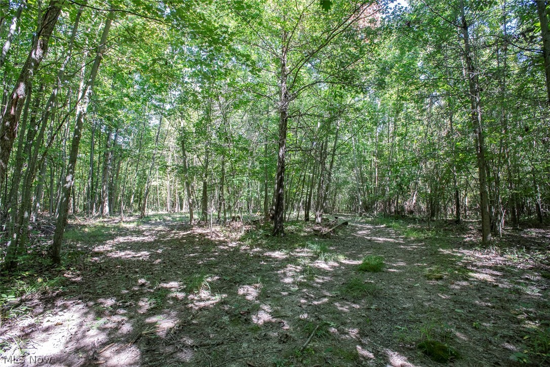 Dunham Road Litchfield OH 44253