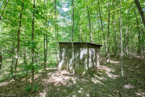 Dunham Road Litchfield OH 44253