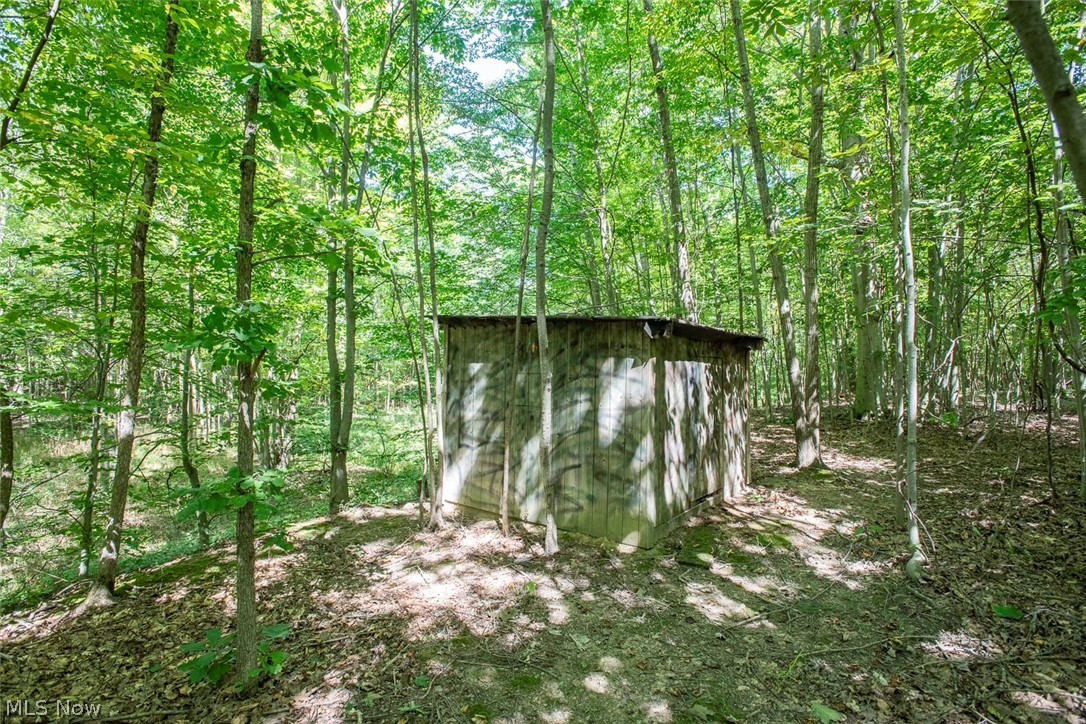 Dunham Road Litchfield OH 44253