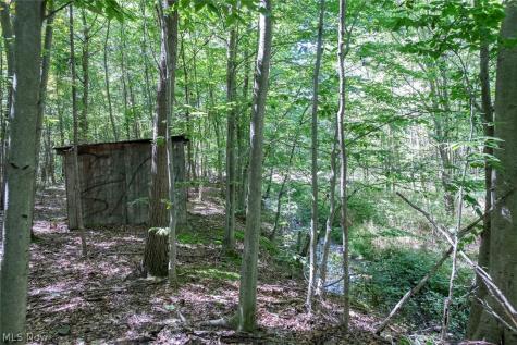 Dunham Road Litchfield OH 44253