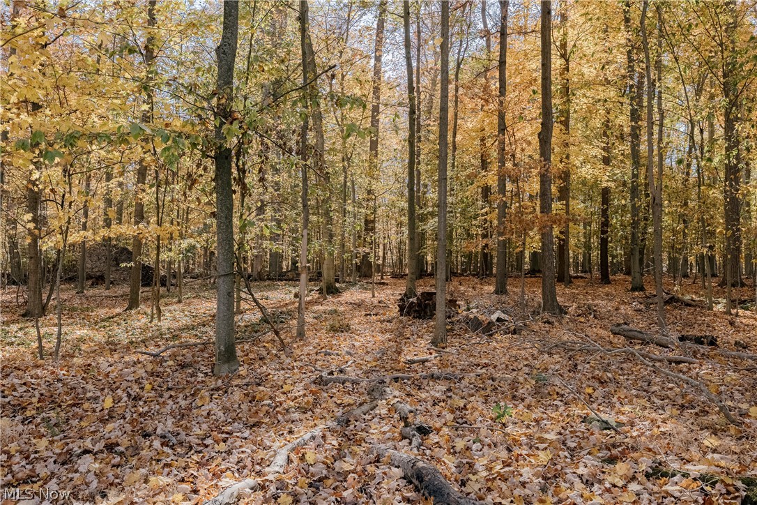 29276 Bolingbrook Road Pepper Pike OH 44124