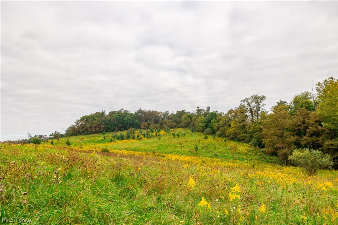 163 County Road 3 Rayland OH 43943