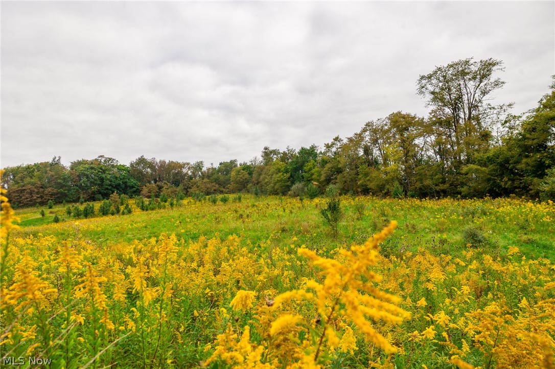 163 County Road 3 Rayland OH 43943