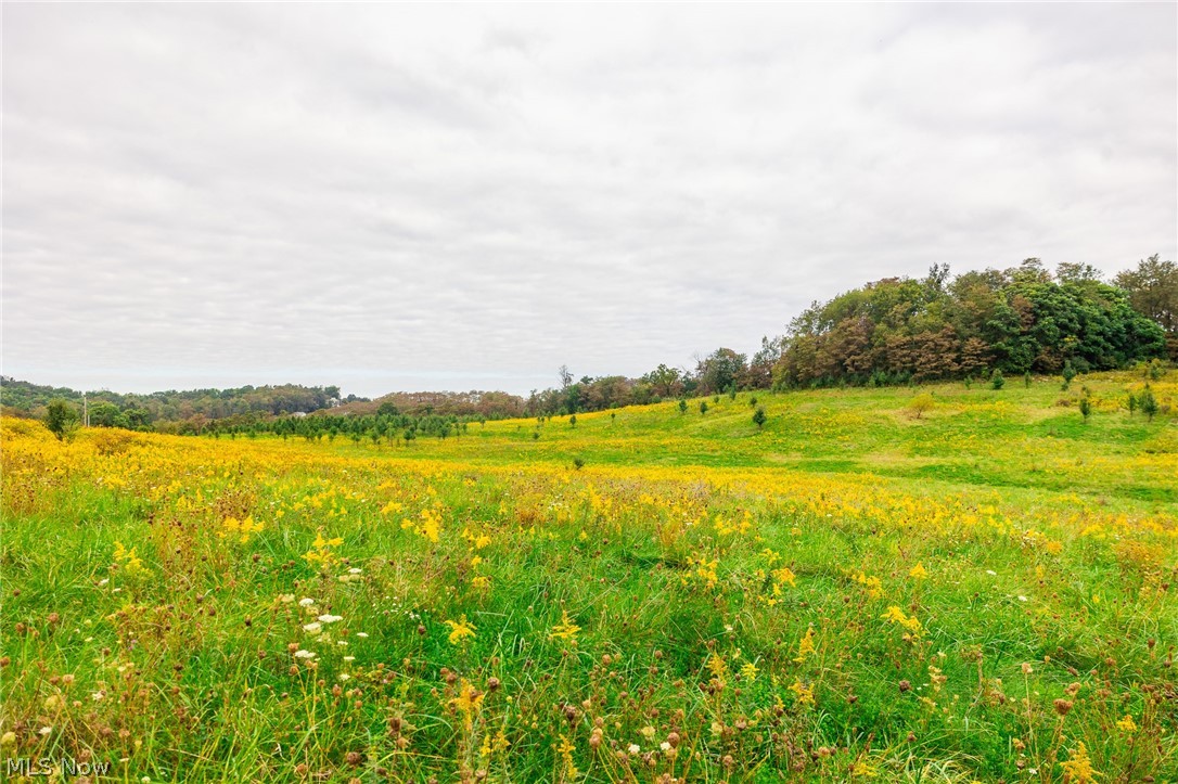 163 County Road 3 Rayland OH 43943