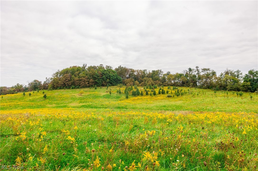 163 County Road 3 Rayland OH 43943