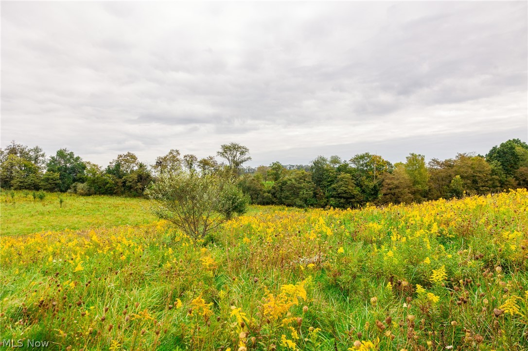 163 County Road 3 Rayland OH 43943