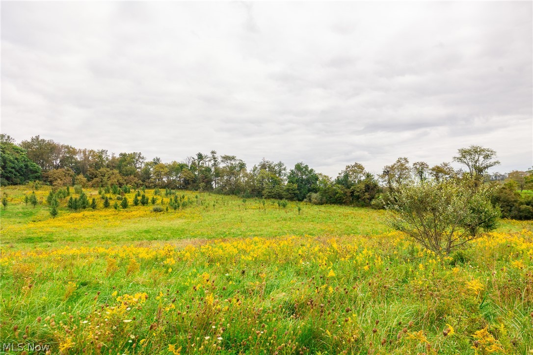 163 County Road 3 Rayland OH 43943