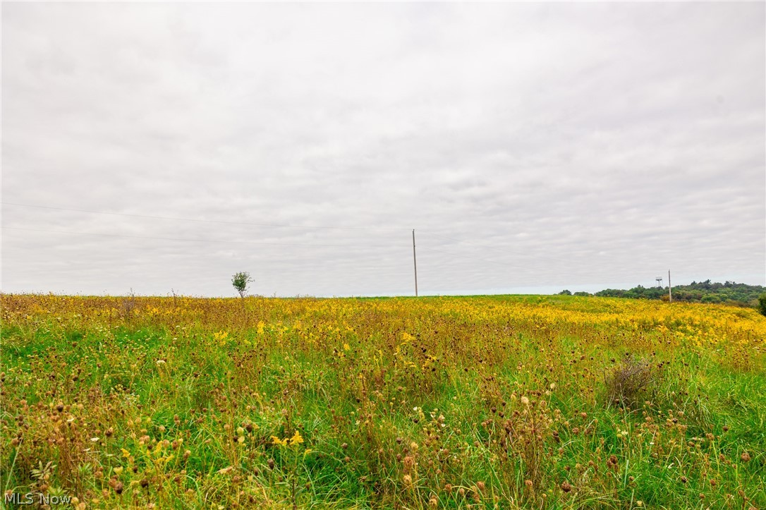 163 County Road 3 Rayland OH 43943
