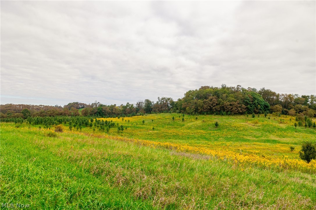 163 County Road 3 Rayland OH 43943