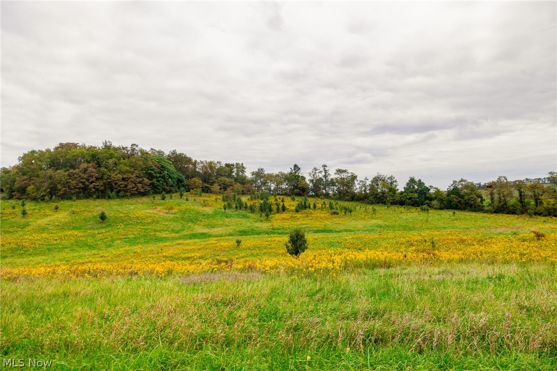 163 County Road 3 Rayland OH 43943