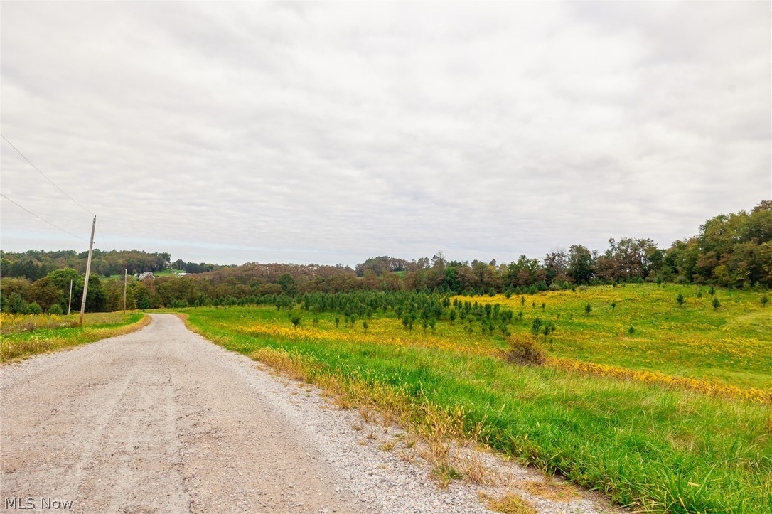 163 County Road 3 Rayland OH 43943