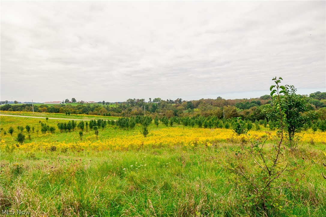 163 County Road 3 Rayland OH 43943