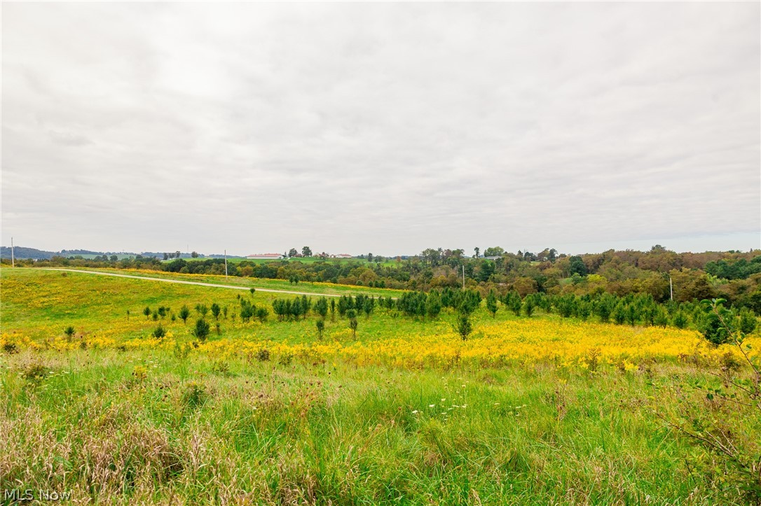 163 County Road 3 Rayland OH 43943