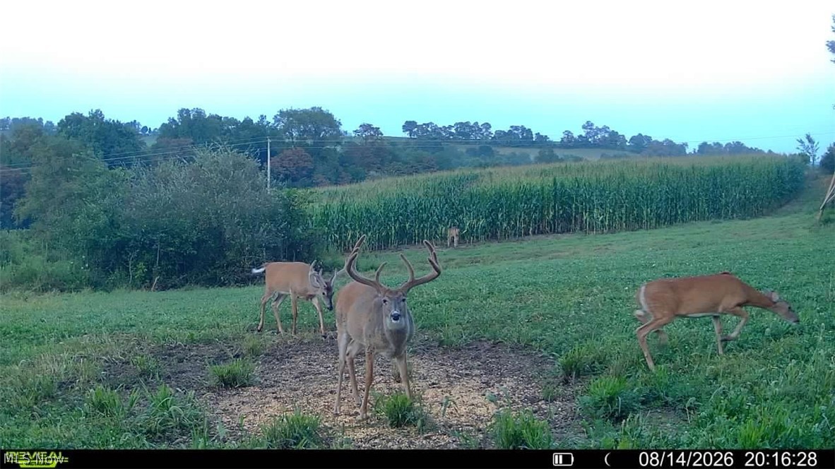 163 County Road 3 Rayland OH 43943