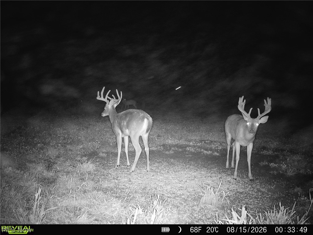 163 County Road 3 Rayland OH 43943