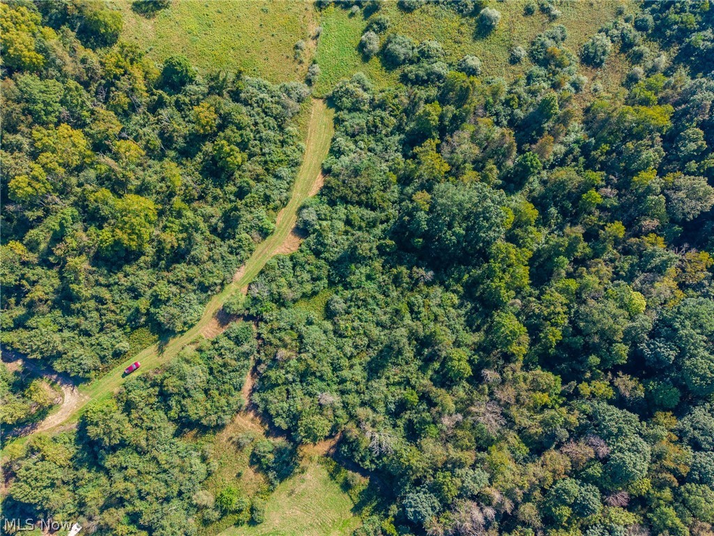 Township Road 269 Cadiz OH 43907