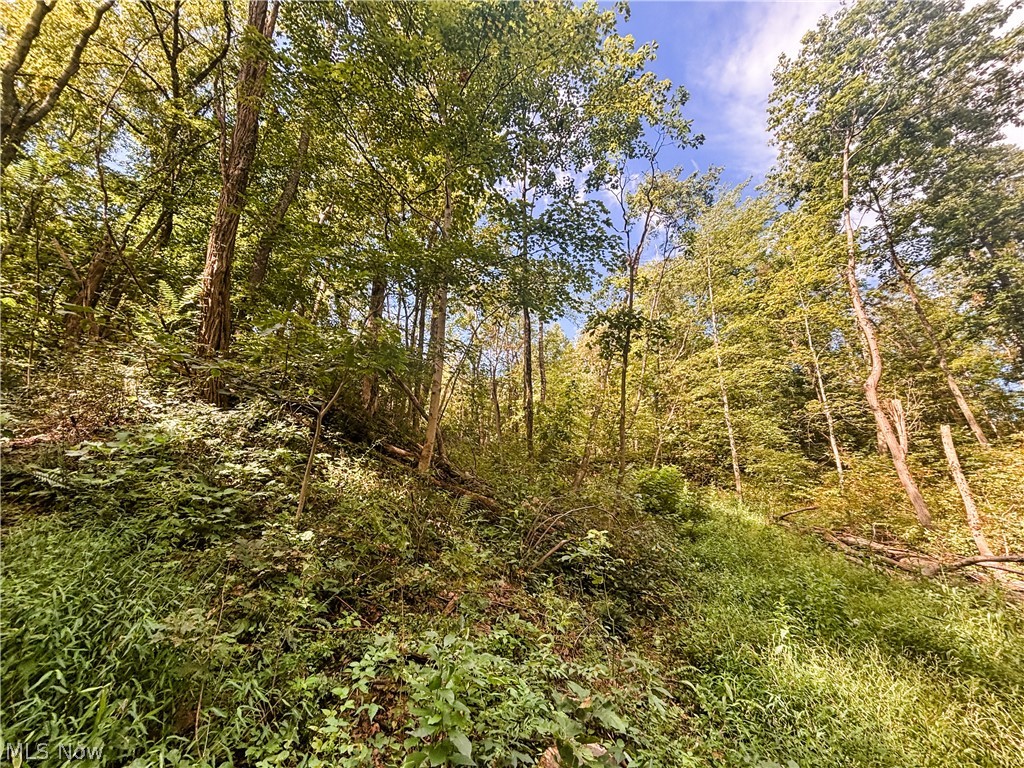 62515 Wine Road Quaker City OH 43773