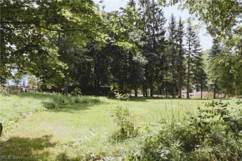 Abigail Drive Lyndhurst OH 44124