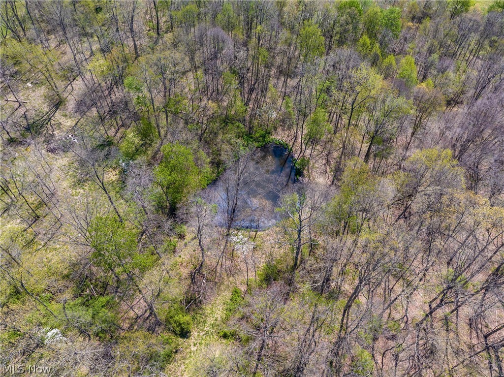 Bagley Road Mount Perry OH 43760