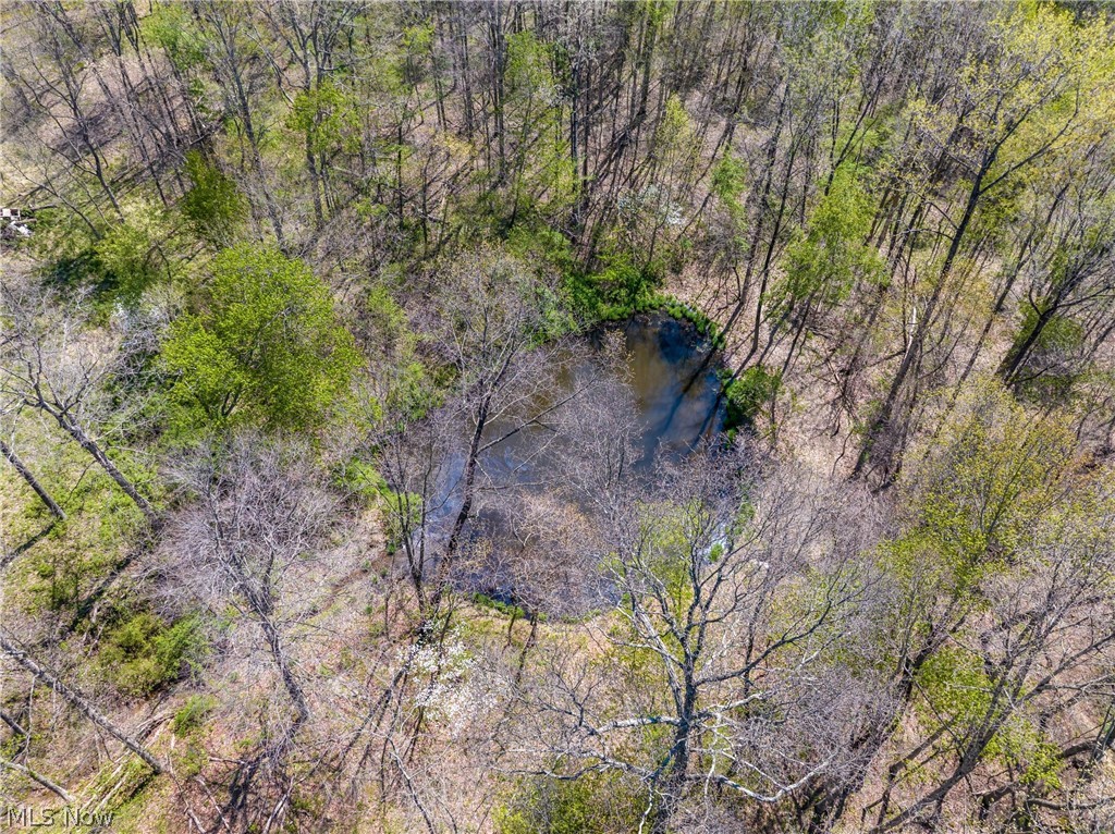 Bagley Road Mount Perry OH 43760