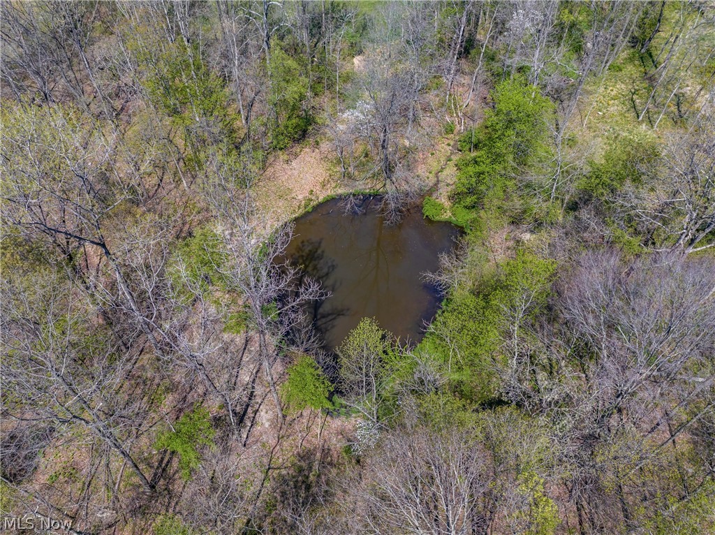 Bagley Road Mount Perry OH 43760