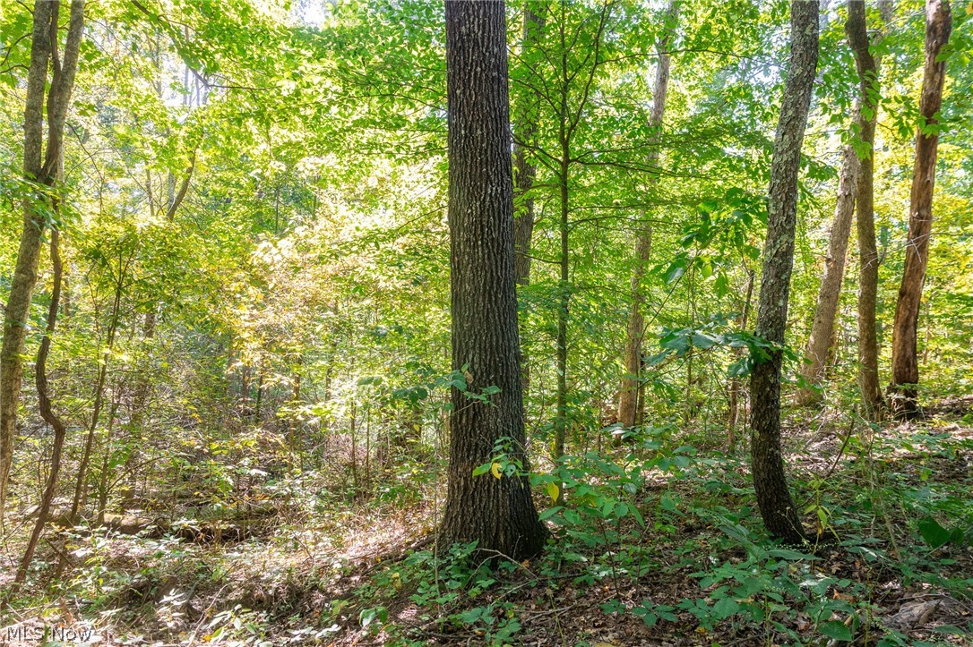 0 4 County Road 269 Glouster OH 43730