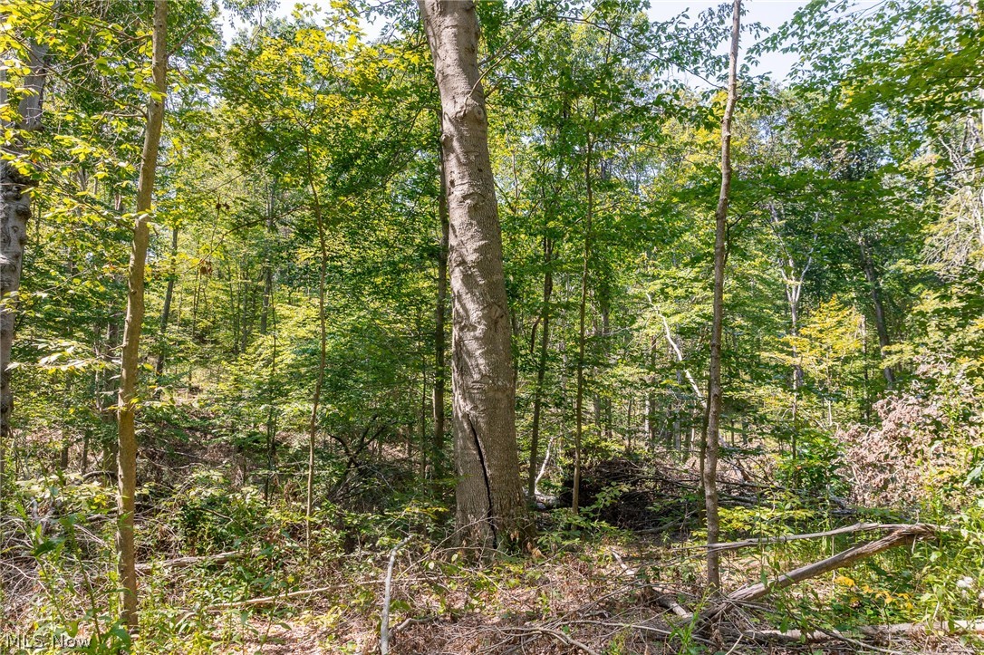 0 4 County Road 269 Glouster OH 43730