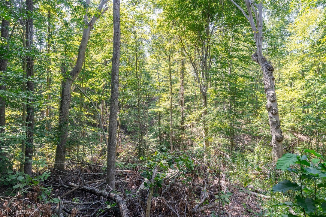 0 4 County Road 269 Glouster OH 43730
