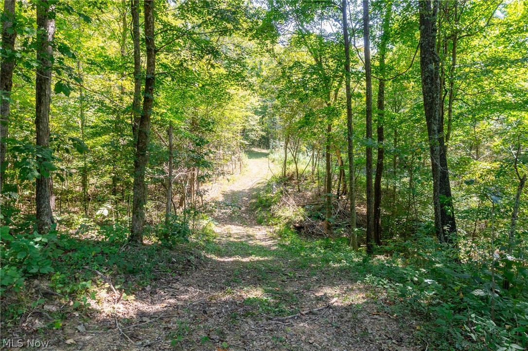 0 4 County Road 269 Glouster OH 43730