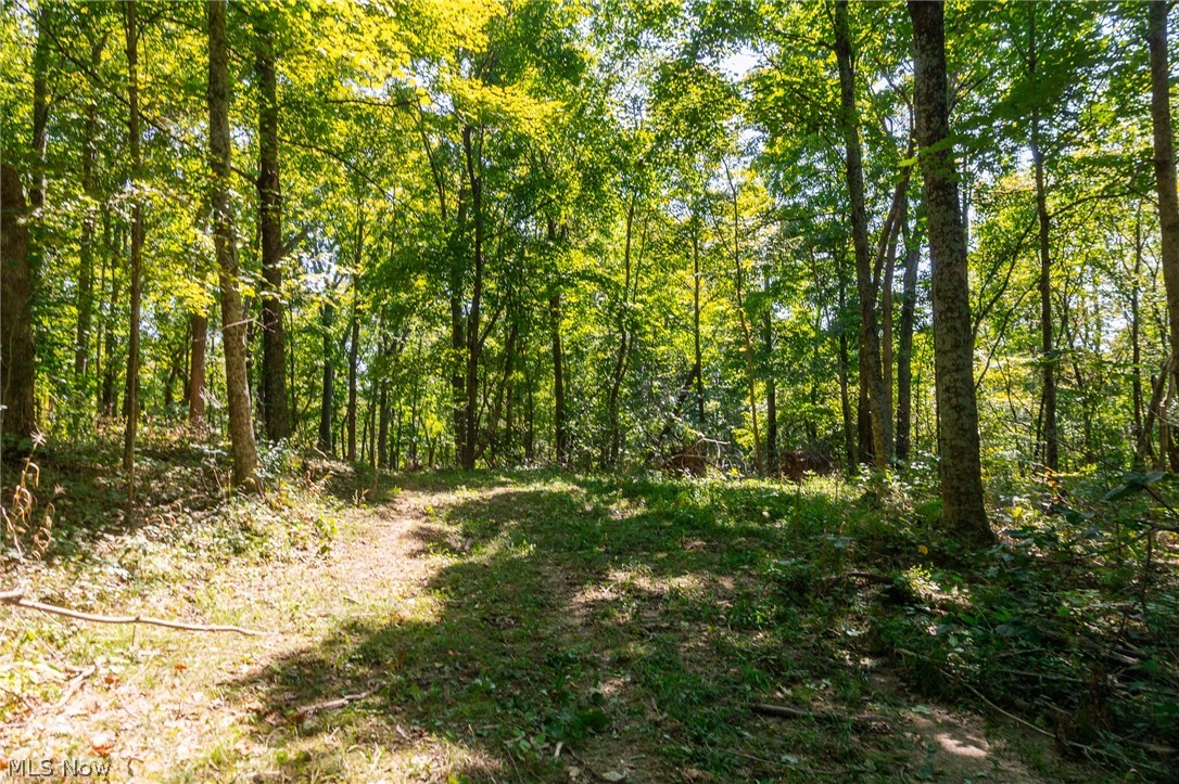 0 4 County Road 269 Glouster OH 43730
