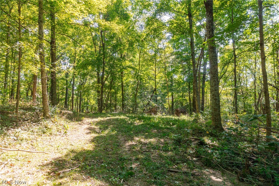 0 4 County Road 269 Glouster OH 43730