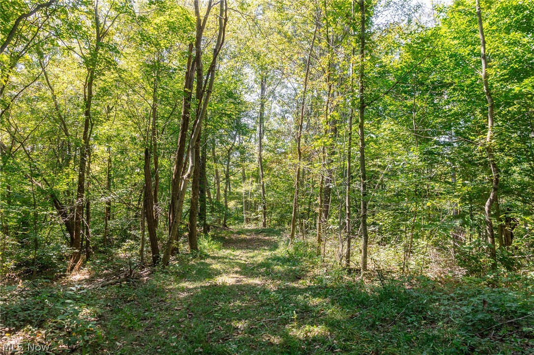 0 4 County Road 269 Glouster OH 43730