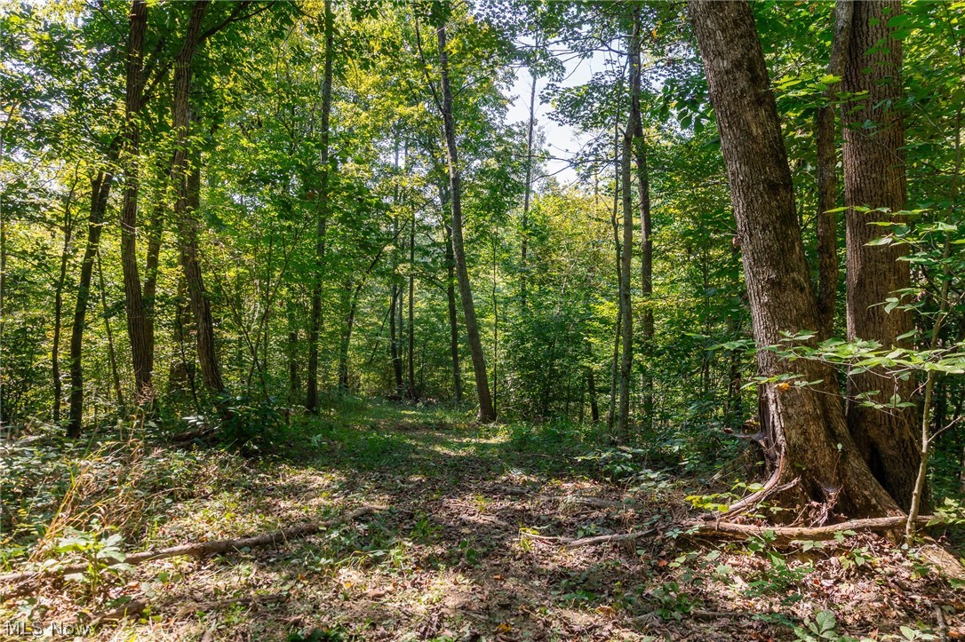 0 4 County Road 269 Glouster OH 43730