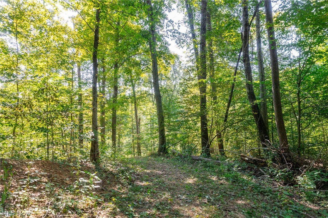 0 4 County Road 269 Glouster OH 43730