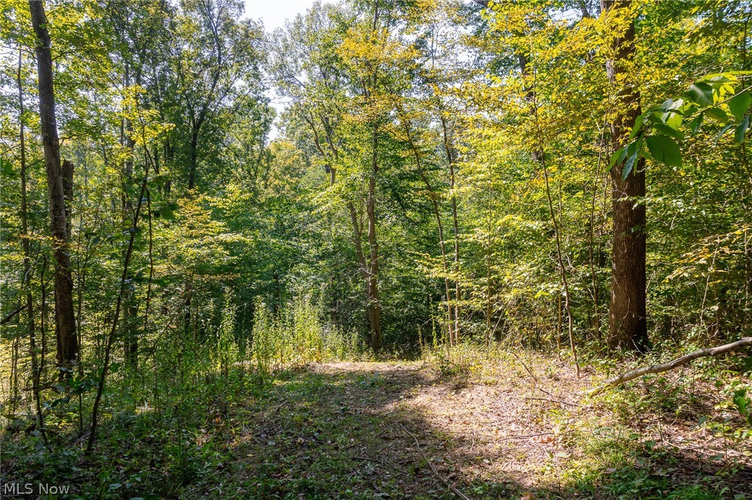 0 4 County Road 269 Glouster OH 43730