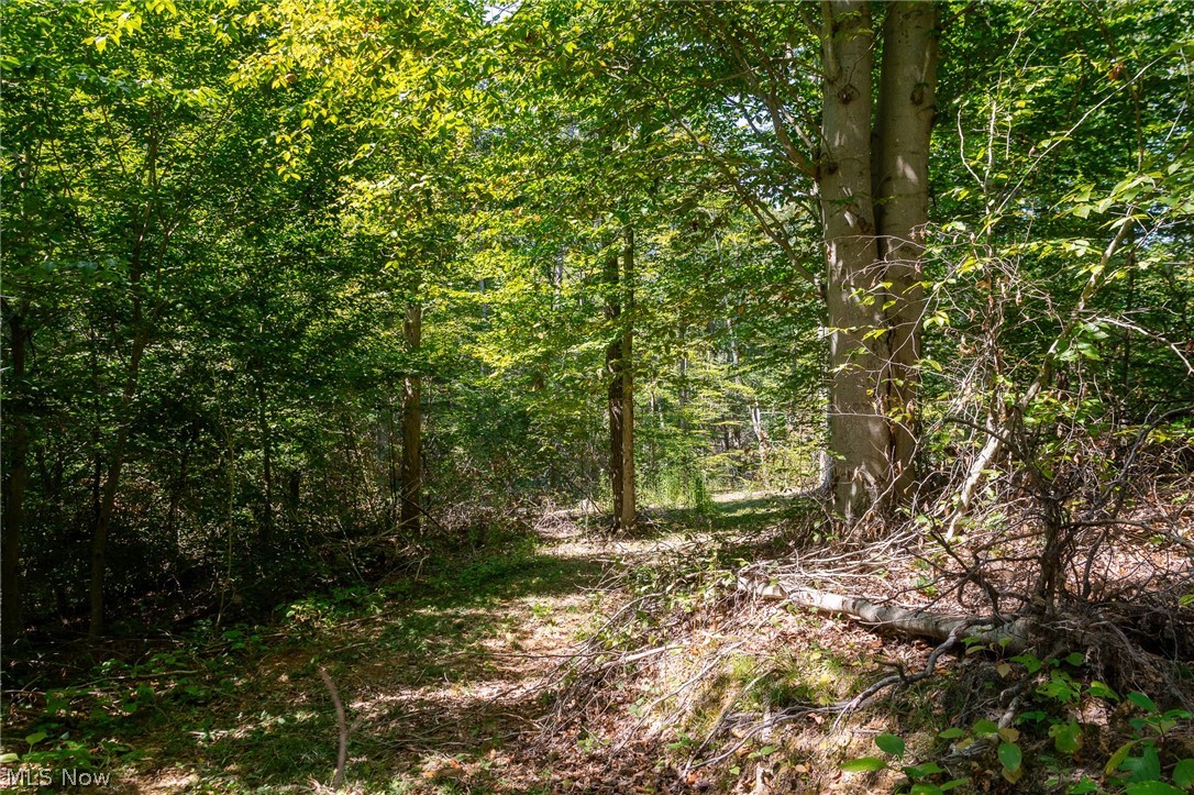 0 4 County Road 269 Glouster OH 43730