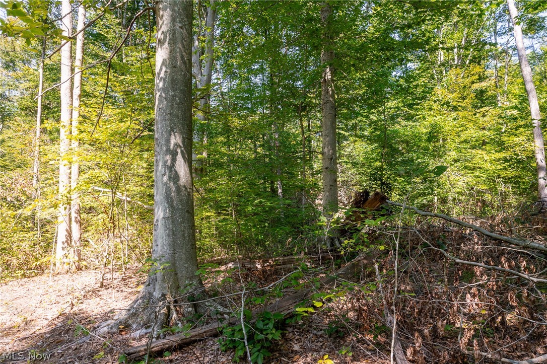 0 4 County Road 269 Glouster OH 43730