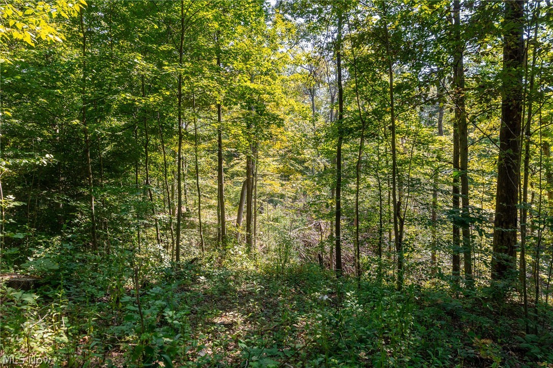 0 4 County Road 269 Glouster OH 43730