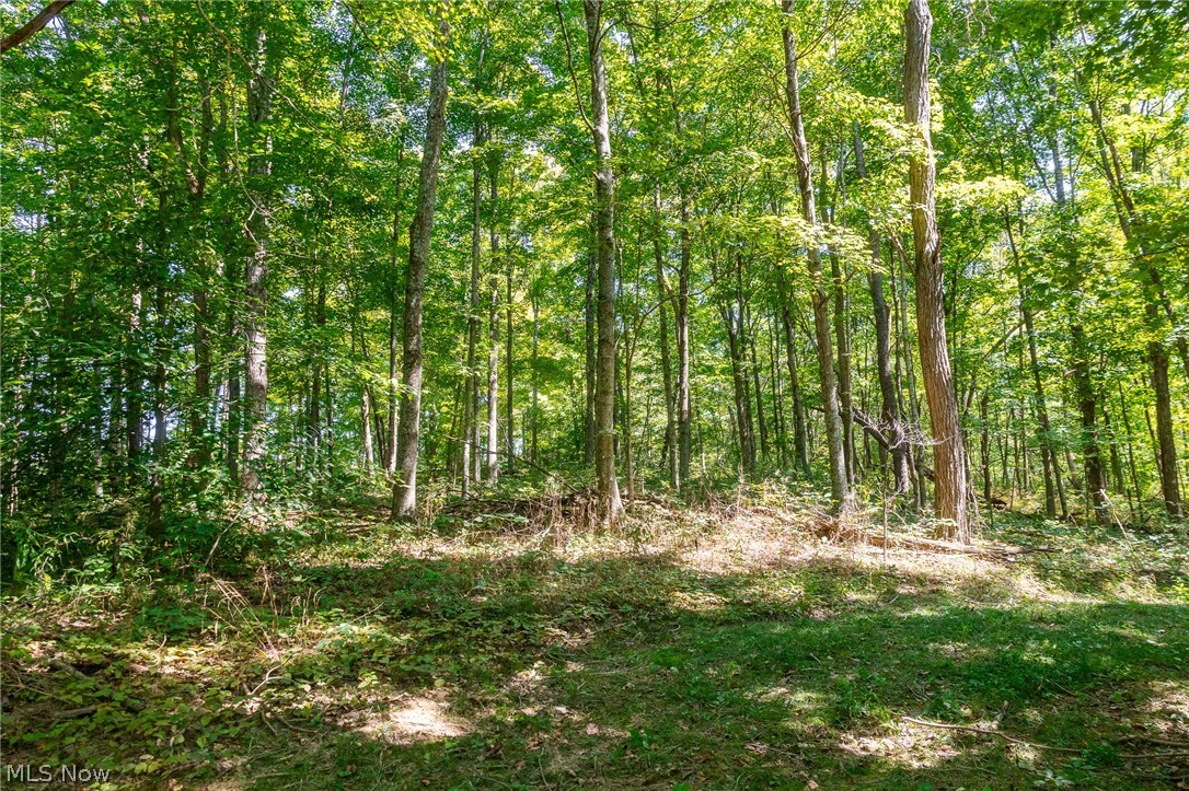 0 4 County Road 269 Glouster OH 43730