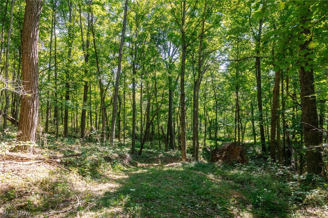 0 4 County Road 269 Glouster OH 43730