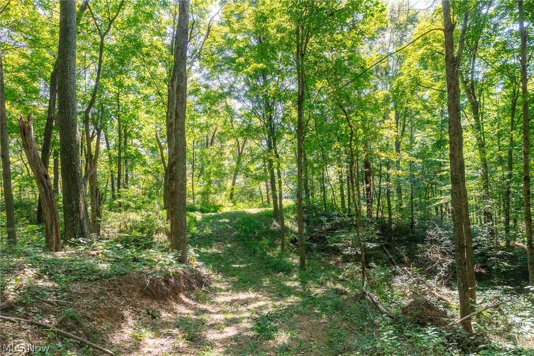 0 4 County Road 269 Glouster OH 43730
