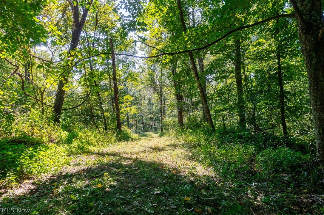 0 4 County Road 269 Glouster OH 43730