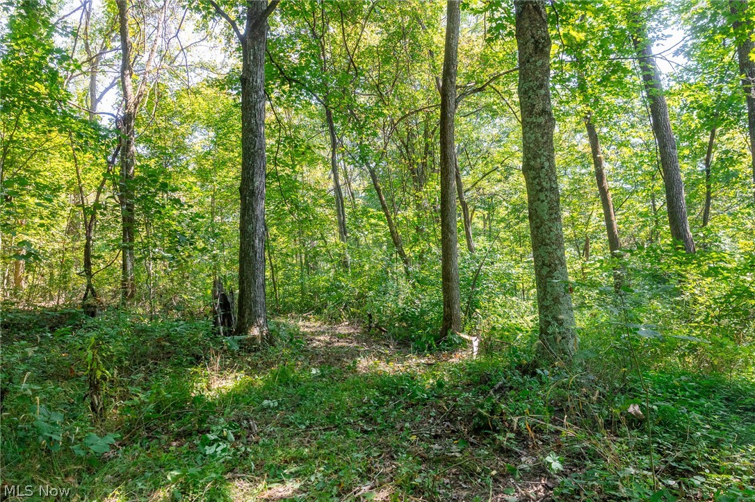 0 4 County Road 269 Glouster OH 43730