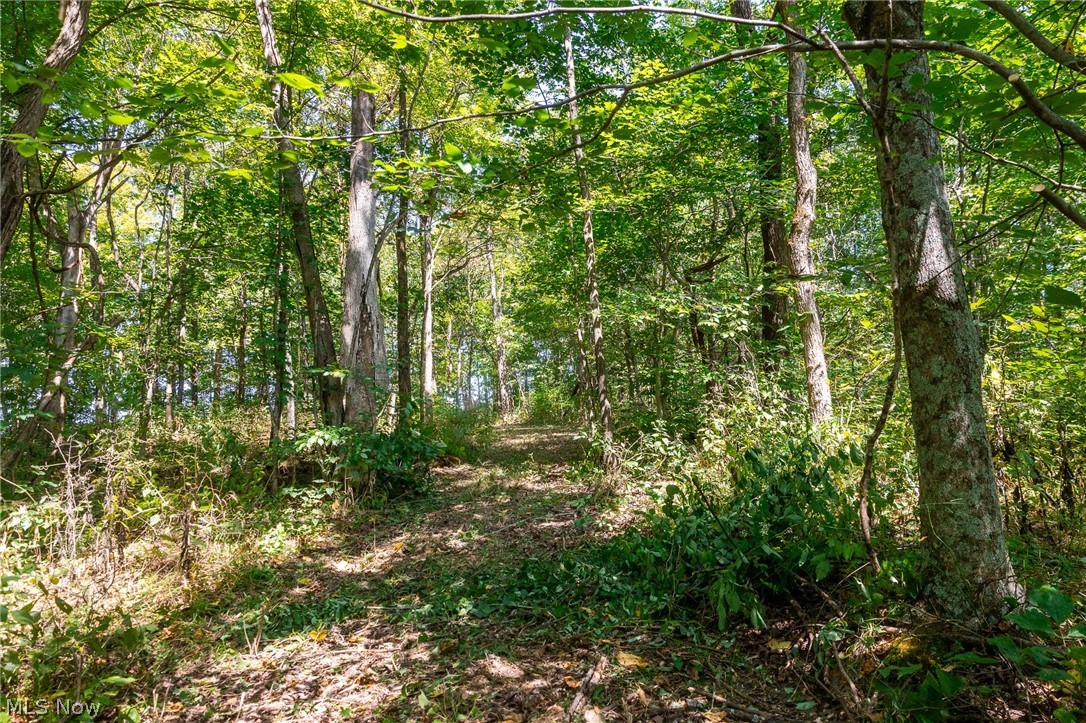 0 4 County Road 269 Glouster OH 43730
