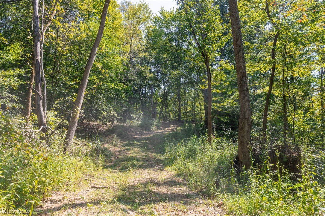 0 4 County Road 269 Glouster OH 43730