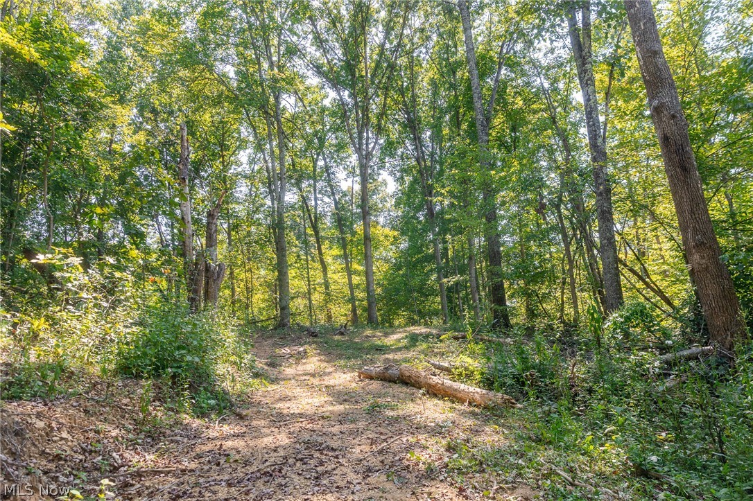 0 4 County Road 269 Glouster OH 43730