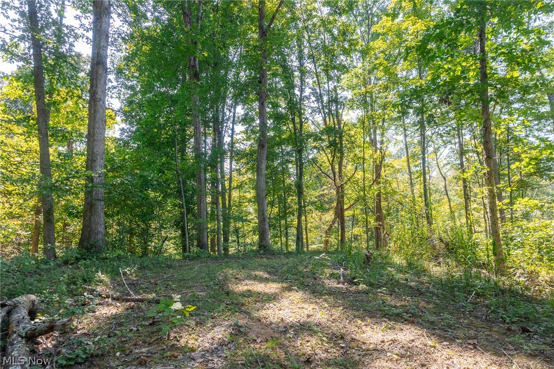 0 4 County Road 269 Glouster OH 43730
